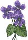 Mateřská škola Staňkov